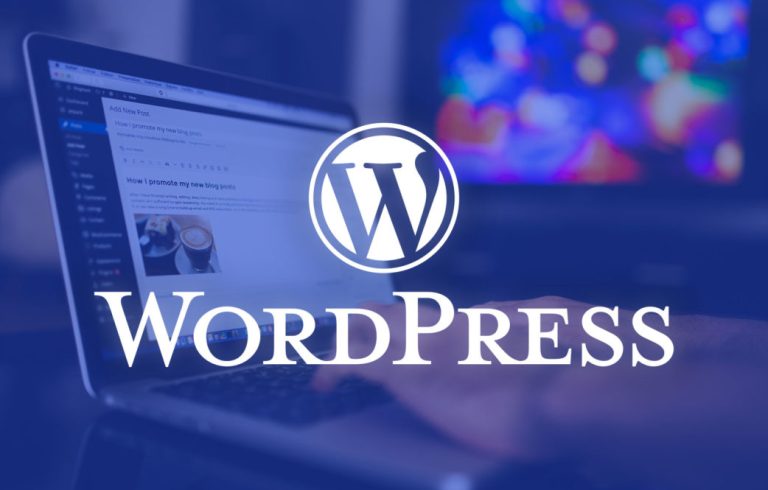wordpress eğitimi